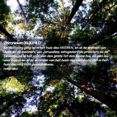 Picture 02 - 2 Kronieken 34:30 NLD - En de koning ging op in het huis des HEEREN, en - Bible Verse Picture