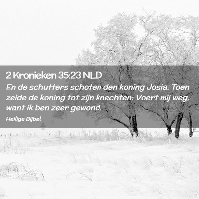 Picture 02 - 2 Kronieken 35:23 NLD - En de schutters schoten den koning Josia. Toen - Bible Verse Picture
