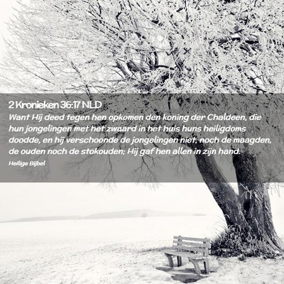 Picture 02 - 2 Kronieken 36:17 NLD - Want Hij deed tegen hen opkomen den koning der - Bible Verse Picture