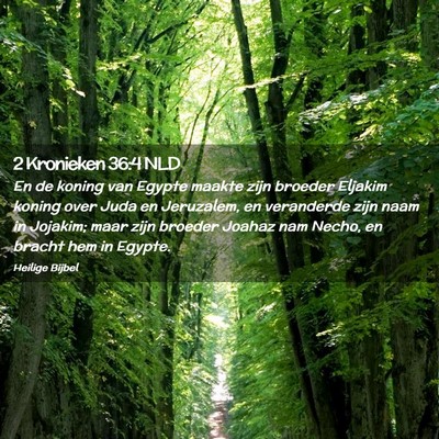 Picture 02 - 2 Kronieken 36:4 NLD - En de koning van Egypte maakte zijn broeder - Bible Verse Picture
