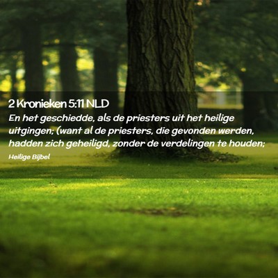 Picture 02 - 2 Kronieken 5:11 NLD - En het geschiedde, als de priesters uit het - Bible Verse Picture