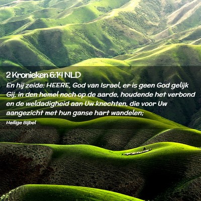 Picture 02 - 2 Kronieken 6:14 NLD - En hij zeide: HEERE, God van Israel, er is geen - Bible Verse Picture