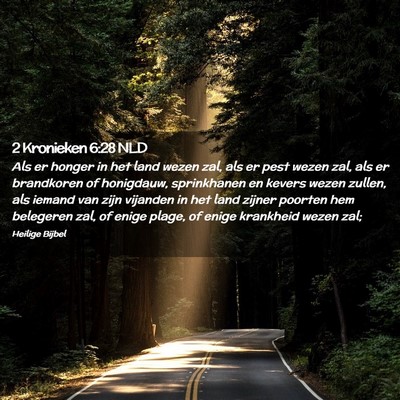 Picture 02 - 2 Kronieken 6:28 NLD - Als er honger in het land wezen zal, als er pest - Bible Verse Picture