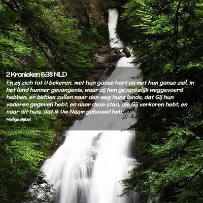 Picture 02 - 2 Kronieken 6:38 NLD - En zij zich tot U bekeren, met hun ganse hart en - Bible Verse Picture