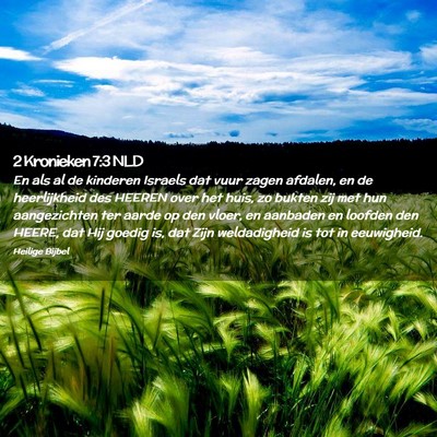 Picture 02 - 2 Kronieken 7:3 NLD - En als al de kinderen Israels dat vuur zagen - Bible Verse Picture