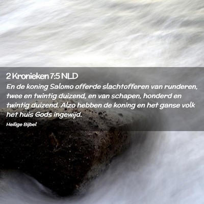 Picture 02 - 2 Kronieken 7:5 NLD - En de koning Salomo offerde slachtofferen van - Bible Verse Picture