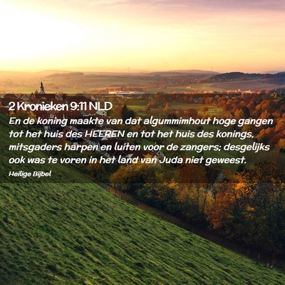 Picture 02 - 2 Kronieken 9:11 NLD - En de koning maakte van dat algummimhout hoge - Bible Verse Picture