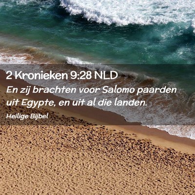 Picture 02 - 2 Kronieken 9:28 NLD - En zij brachten voor Salomo paarden uit Egypte, - Bible Verse Picture