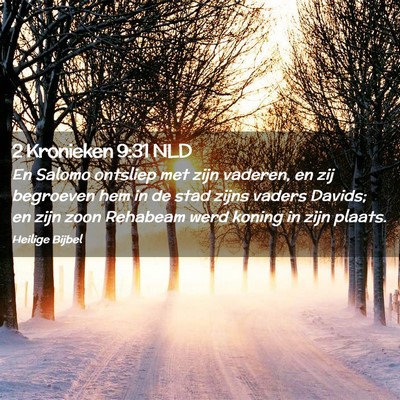 Picture 02 - 2 Kronieken 9:31 NLD - En Salomo ontsliep met zijn vaderen, en zij - Bible Verse Picture