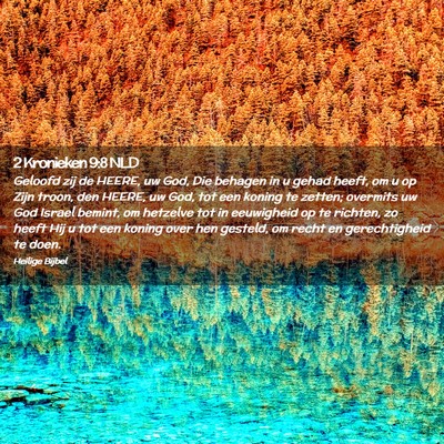 Picture 02 - 2 Kronieken 9:8 NLD - Geloofd zij de HEERE, uw God, Die behagen in u - Bible Verse Picture