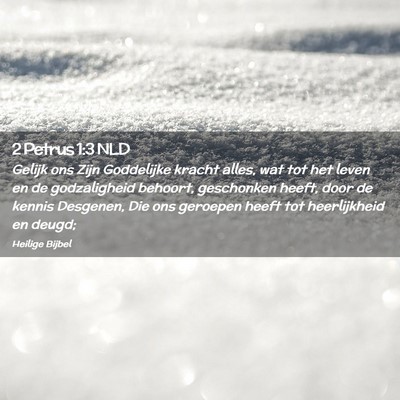 Picture 02 - 2 Petrus 1:3 NLD - Gelijk ons Zijn Goddelijke kracht alles, wat tot - Bible Verse Picture