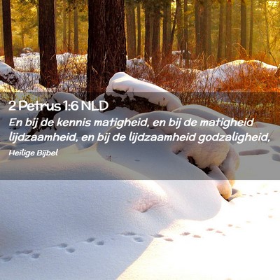 Picture 02 - 2 Petrus 1:6 NLD - En bij de kennis matigheid, en bij de matigheid - Bible Verse Picture