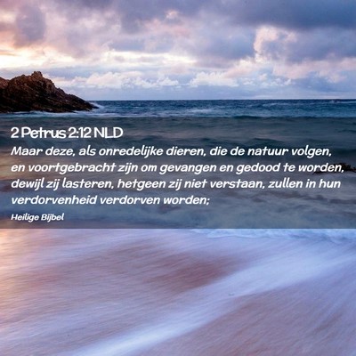 Picture 02 - 2 Petrus 2:12 NLD - Maar deze, als onredelijke dieren, die de natuur - Bible Verse Picture