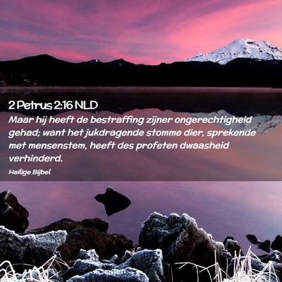 Picture 02 - 2 Petrus 2:16 NLD - Maar hij heeft de bestraffing zijner - Bible Verse Picture