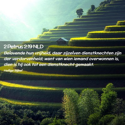 Picture 02 - 2 Petrus 2:19 NLD - Belovende hun vrijheid, daar zijzelven - Bible Verse Picture