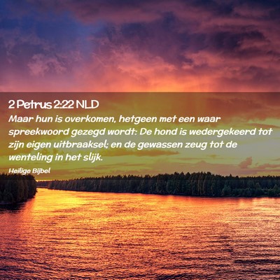 Picture 02 - 2 Petrus 2:22 NLD - Maar hun is overkomen, hetgeen met een waar - Bible Verse Picture