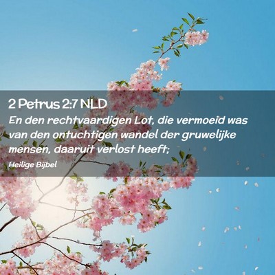 Picture 02 - 2 Petrus 2:7 NLD - En den rechtvaardigen Lot, die vermoeid was van - Bible Verse Picture