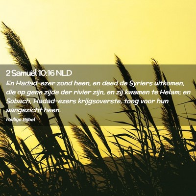 Picture 02 - 2 Samuël 10:16 NLD - En Hadad-ezer zond heen, en deed de Syriers - Bible Verse Picture