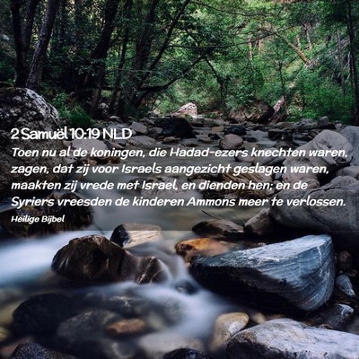 Picture 02 - 2 Samuël 10:19 NLD - Toen nu al de koningen, die Hadad-ezers knechten - Bible Verse Picture