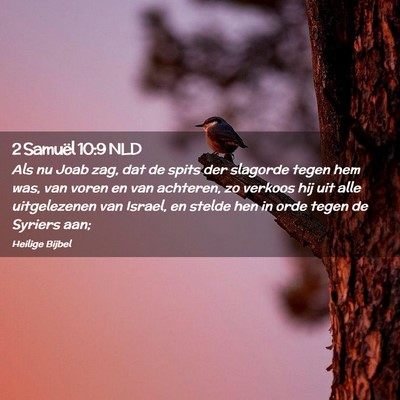 Picture 02 - 2 Samuël 10:9 NLD - Als nu Joab zag, dat de spits der slagorde tegen - Bible Verse Picture