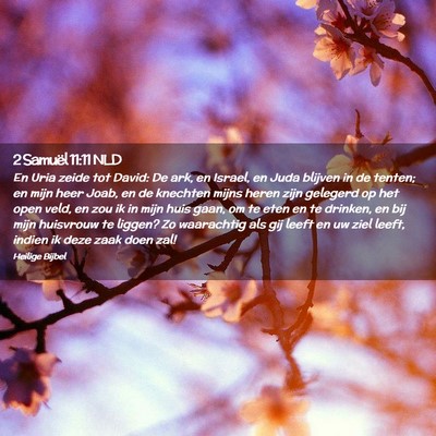 Picture 02 - 2 Samuël 11:11 NLD - En Uria zeide tot David: De ark, en Israel, en - Bible Verse Picture