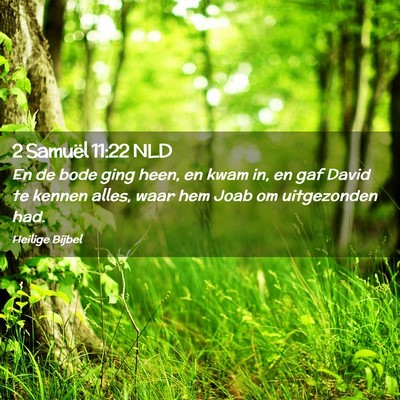 Picture 02 - 2 Samuël 11:22 NLD - En de bode ging heen, en kwam in, en gaf David te - Bible Verse Picture