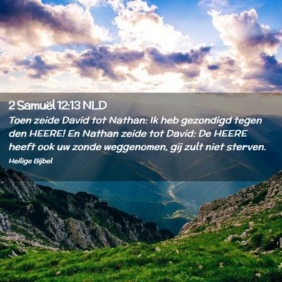 Picture 02 - 2 Samuël 12:13 NLD - Toen zeide David tot Nathan: Ik heb gezondigd - Bible Verse Picture