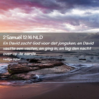 Picture 02 - 2 Samuël 12:16 NLD - En David zocht God voor dat jongsken; en David - Bible Verse Picture