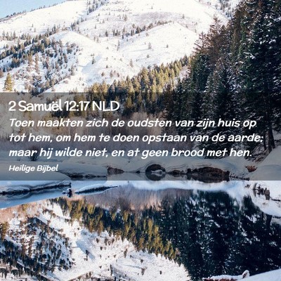 Picture 02 - 2 Samuël 12:17 NLD - Toen maakten zich de oudsten van zijn huis op tot - Bible Verse Picture