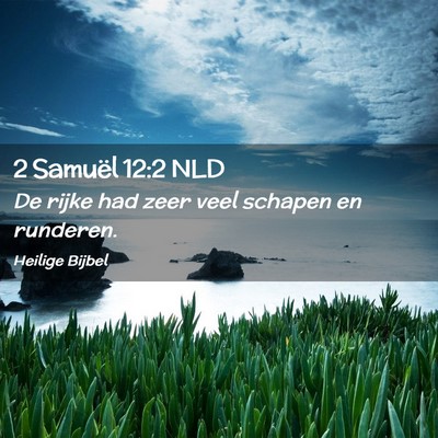 Picture 02 - 2 Samuël 12:2 NLD - De rijke had zeer veel schapen en - Bible Verse Picture