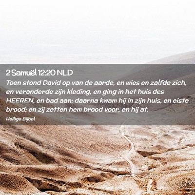 Picture 02 - 2 Samuël 12:20 NLD - Toen stond David op van de aarde, en wies en - Bible Verse Picture