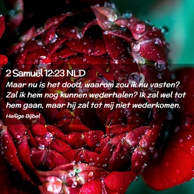 Picture 02 - 2 Samuël 12:23 NLD - Maar nu is het dood, waarom zou ik nu vasten? Zal - Bible Verse Picture