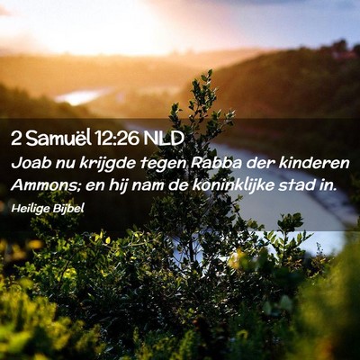Picture 02 - 2 Samuël 12:26 NLD - Joab nu krijgde tegen Rabba der kinderen Ammons; - Bible Verse Picture