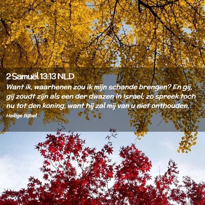 Picture 02 - 2 Samuël 13:13 NLD - Want ik, waarhenen zou ik mijn schande brengen? - Bible Verse Picture