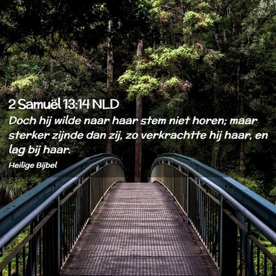 Picture 02 - 2 Samuël 13:14 NLD - Doch hij wilde naar haar stem niet horen; maar - Bible Verse Picture
