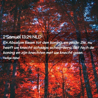 Picture 02 - 2 Samuël 13:24 NLD - En Absalom kwam tot den koning, en zeide: Zie, nu - Bible Verse Picture