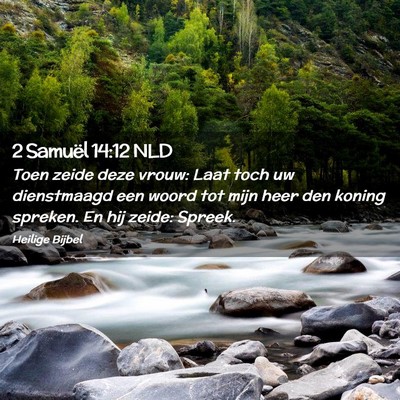 Picture 02 - 2 Samuël 14:12 NLD - Toen zeide deze vrouw: Laat toch uw dienstmaagd - Bible Verse Picture