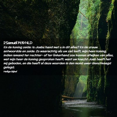 Picture 02 - 2 Samuël 14:19 NLD - En de koning zeide: Is Joabs hand met u in dit - Bible Verse Picture