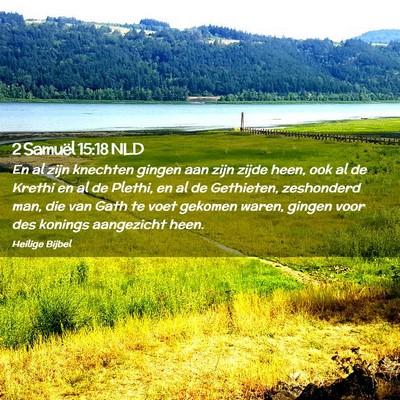 Picture 02 - 2 Samuël 15:18 NLD - En al zijn knechten gingen aan zijn zijde heen, - Bible Verse Picture