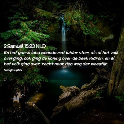 Picture 02 - 2 Samuël 15:23 NLD - En het ganse land weende met luider stem, als al - Bible Verse Picture
