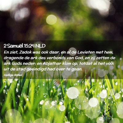 Picture 02 - 2 Samuël 15:24 NLD - En ziet, Zadok was ook daar, en al de Levieten - Bible Verse Picture
