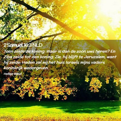 Picture 02 - 2 Samuël 16:3 NLD - Toen zeide de koning: Waar is dan de zoon uws - Bible Verse Picture