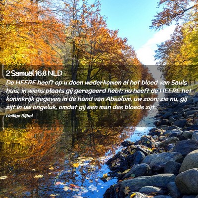 Picture 02 - 2 Samuël 16:8 NLD - De HEERE heeft op u doen wederkomen al het bloed - Bible Verse Picture