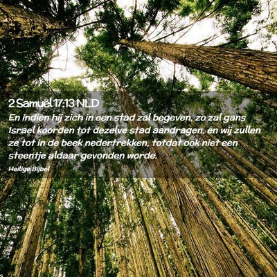 Picture 02 - 2 Samuël 17:13 NLD - En indien hij zich in een stad zal begeven, zo - Bible Verse Picture