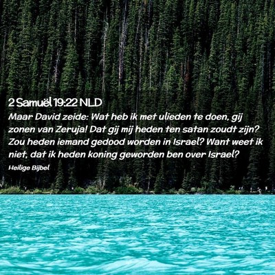 Picture 02 - 2 Samuël 19:22 NLD - Maar David zeide: Wat heb ik met ulieden te doen, - Bible Verse Picture