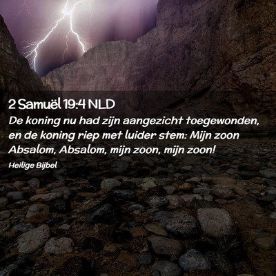 Picture 02 - 2 Samuël 19:4 NLD - De koning nu had zijn aangezicht toegewonden, en - Bible Verse Picture