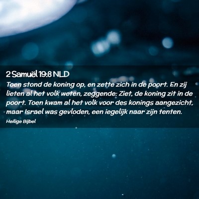 Picture 02 - 2 Samuël 19:8 NLD - Toen stond de koning op, en zette zich in de - Bible Verse Picture