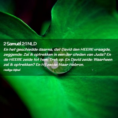 Picture 02 - 2 Samuël 2:1 NLD - En het geschiedde daarna, dat David den HEERE - Bible Verse Picture