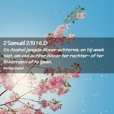 Picture 02 - 2 Samuël 2:19 NLD - En Asahel jaagde Abner achterna; en hij week - Bible Verse Picture