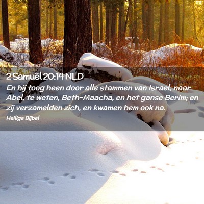 Picture 02 - 2 Samuël 20:14 NLD - En hij toog heen door alle stammen van Israel, - Bible Verse Picture